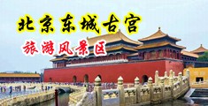 日韩欧美操逼中国北京-东城古宫旅游风景区